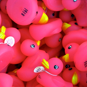 Duckies in Pink